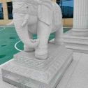 湛江 白麻花岗岩动物异形石雕-大象