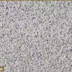 湛江白麻荔枝面