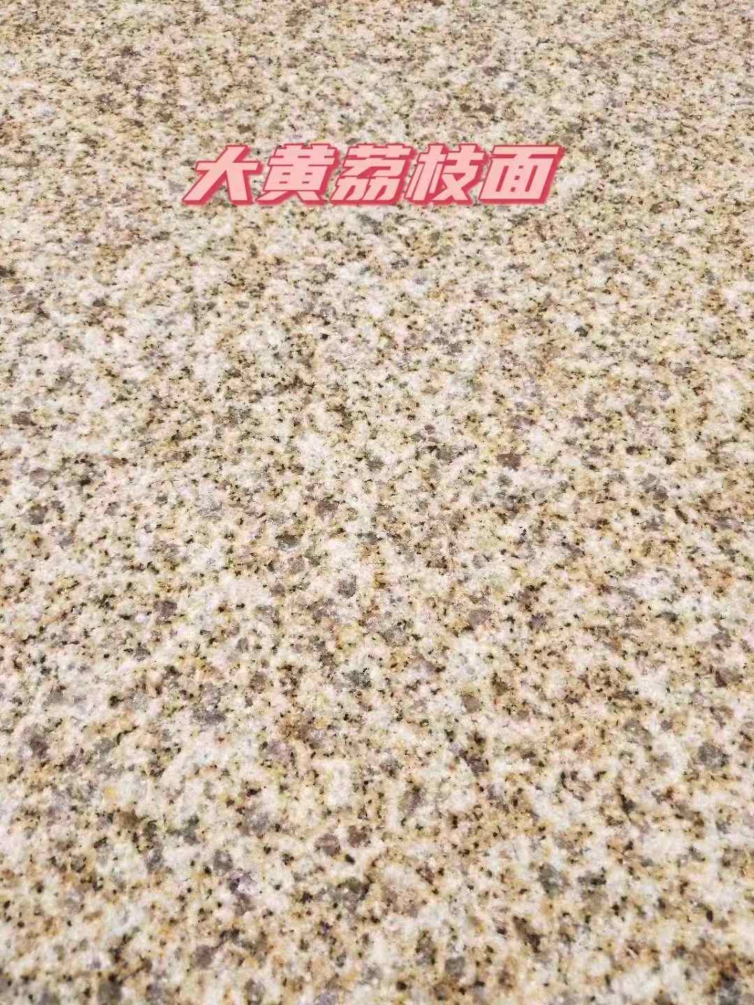 湛江黄金麻大黄荔枝面