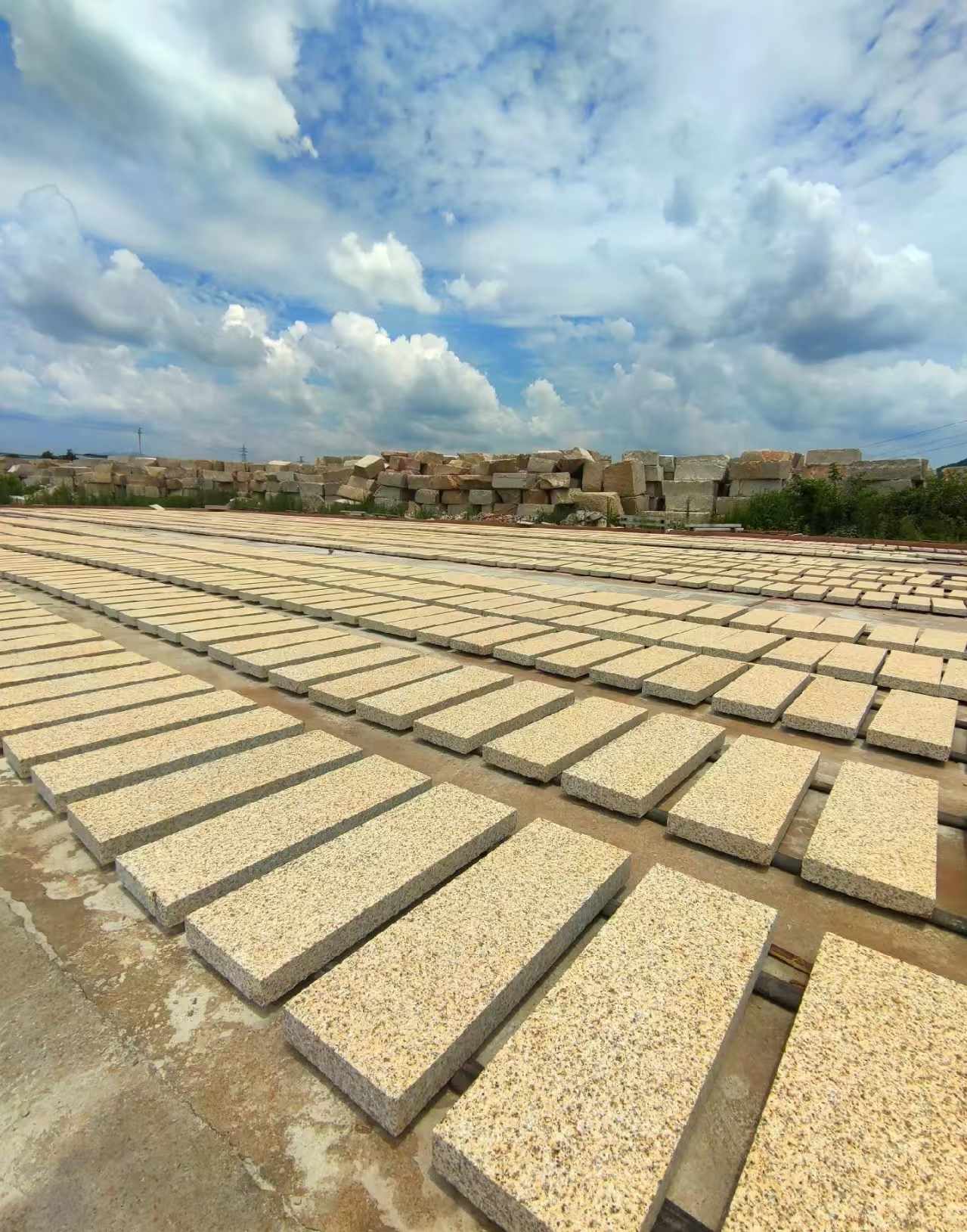 湛江 黄金麻荔枝面花岗岩石材地铺石防护中