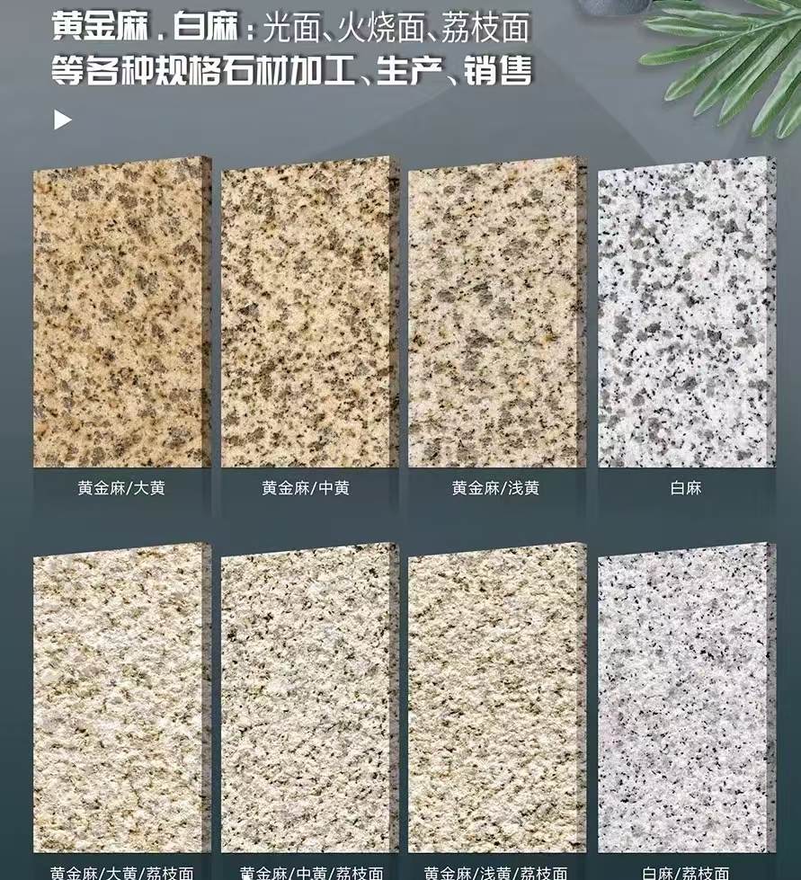 湛江 黄金麻白麻样品展示