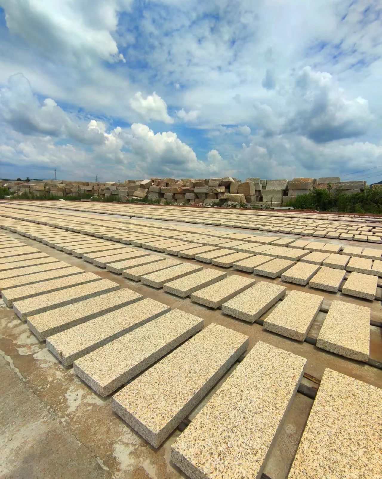 湛江 黄金麻花岗岩荔枝面地铺石防护中