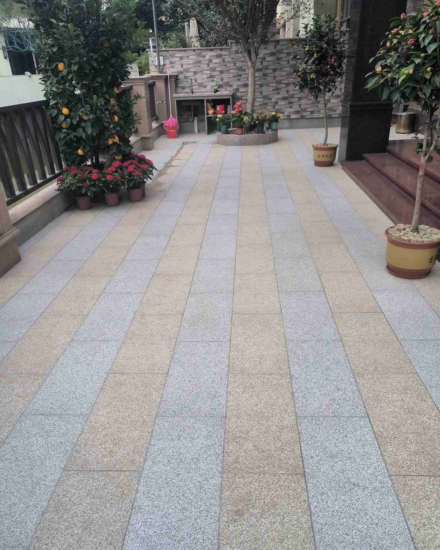 湛江 黄金麻白麻荔枝面庭院铺装展示